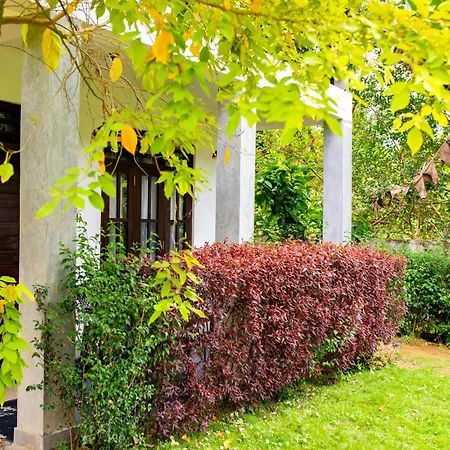 Traveller'S Villa-3